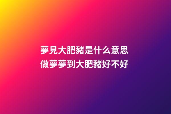 夢見大肥豬是什么意思 做夢夢到大肥豬好不好